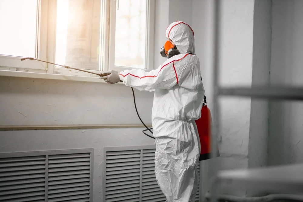 Professional mold remediation services in Franklin Grove, IL